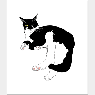 Cute Tuxedo Cat why are you looking at me?  Copyright TeAnne Posters and Art